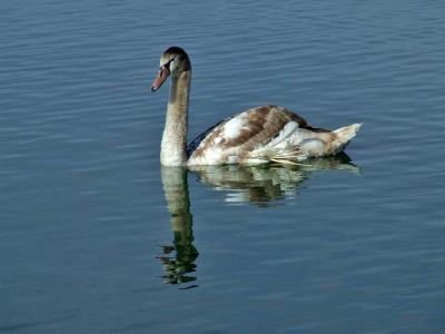 Прикрепленное изображение: bDSCF5954.jpg